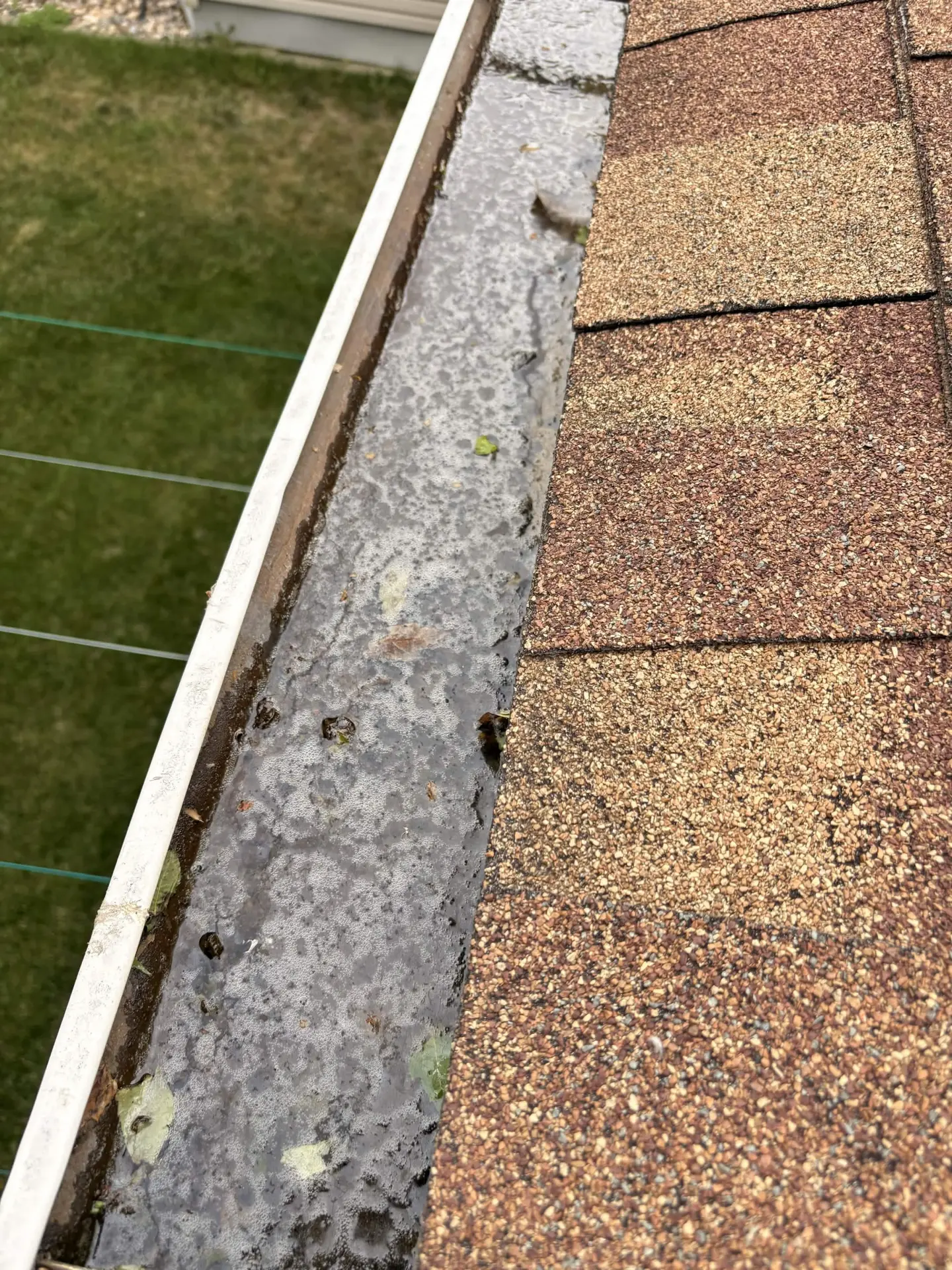 Gutter filled with standing water, grit and leaf debris